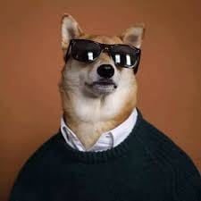 Lê Gia Lạc avatar